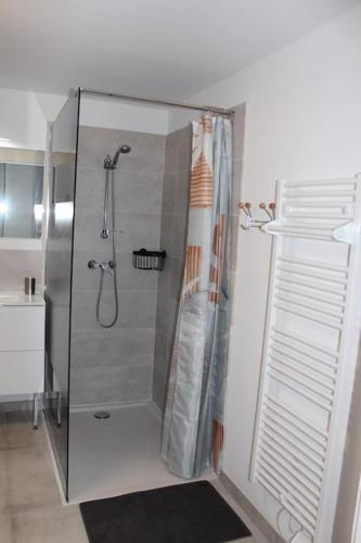 une douche avec une porte vitrée dans une salle de bain dans l'établissement Appartement T2 cosy - Embrun, à Embrun