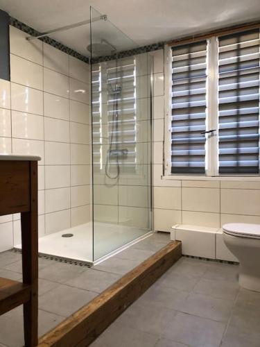 une salle de bain avec une douche en verre et des toilettes dans l'établissement Lascaux Countryside Gite sleeping 7 people - Montignac Lascaux, à Brenac