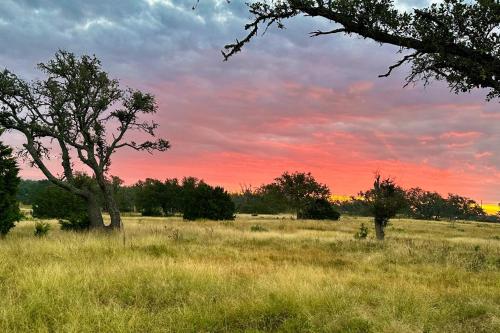 a tree in a field with a sunset in the background at Cabins on the Ranch in Harper