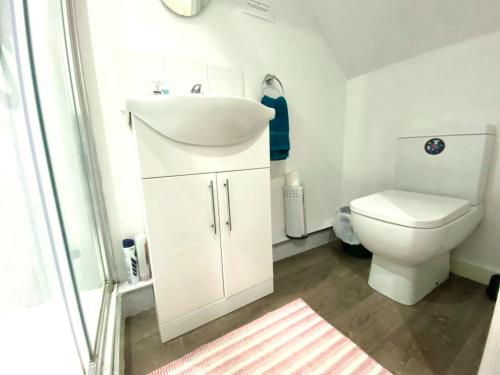 ein Badezimmer mit Waschbecken und Toilette in der Unterkunft Cosy Corner - Town centre flat with free nearby parking in Shrewsbury