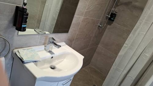 a bathroom with a sink and a shower with a mirror at 9 Beds including 3 Double Beds, 4 Single Beds, 2 Sofa Bed, Suite 1, 37 Totara Avenue, New Lynn in Auckland