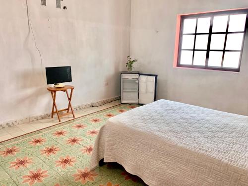 a bedroom with a bed and a desk and a television at Habitación con piscina en el centro de Mérida in Mérida