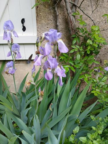 Φωτογραφία από το άλμπουμ του Maison Frankrijk σε Couloutre