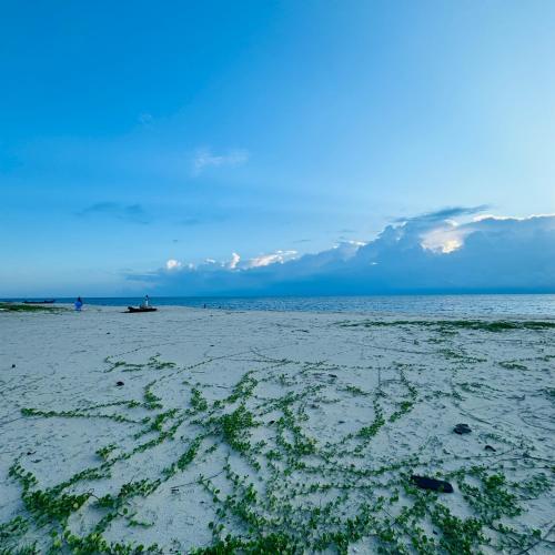 a sandy beach with a boat in the water at Marari Helen Villa in Mararikulam
