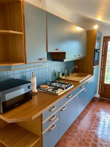 La cuisine est équipée de placards bleus et d'un four avec plaques de cuisson. dans l'établissement Nid douillet au bord de l'eau, à Saint-Rambert-sur-Loire