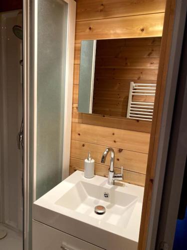une salle de bain avec un lavabo et un miroir dans l'établissement Le versant sud de Barcelonette, à Barcelonnette