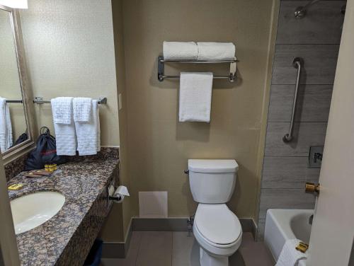 Salle de bains dans l'établissement Best Western Plus Toronto Airport Hotel