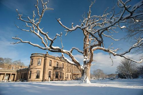 a tree in the snow in front of a building at Beamish Hall Hotel, BW Premier Collection in Stanley