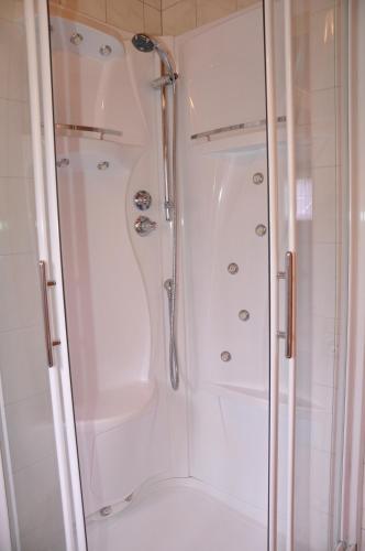 a bathroom with a shower and a toilet at Ferienwohnung Artur Wieser in Sankt Jakob in Defereggen