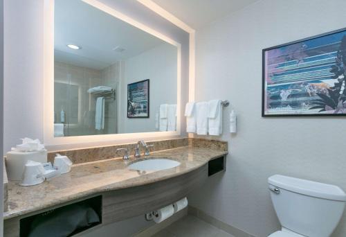 a bathroom with a sink and a toilet and a mirror at Hilton Garden Inn Dallas Arlington in Arlington