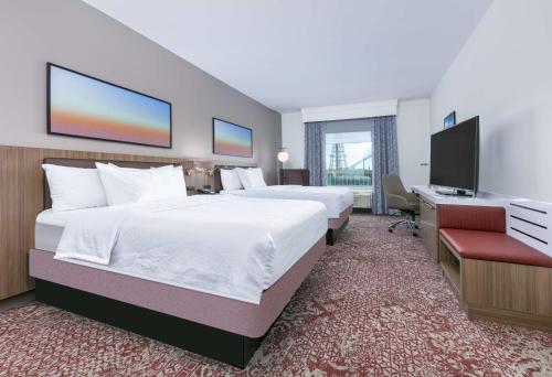 Hilton Garden Inn Dallas Arlington Image