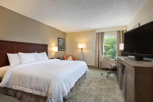 Hampton Inn Houston Near the Galleria Image