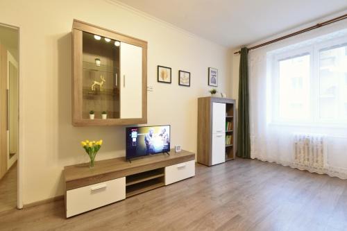 Karlsbad City Apartment