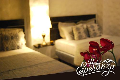 a red rose in a vase in a hotel room at Hotel Esperanza Estelí in Estelí