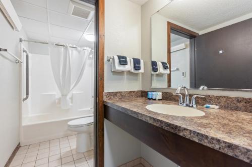 a bathroom with a sink and a toilet and a shower at Cragun's Resort on Gull Lake in Brainerd