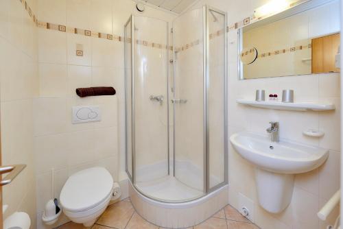 a bathroom with a shower and a toilet and a sink at Hotel Brunnenhof in Bayerisch Eisenstein