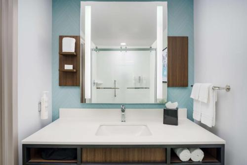 Bagno di Hilton Garden Inn Lake Mary