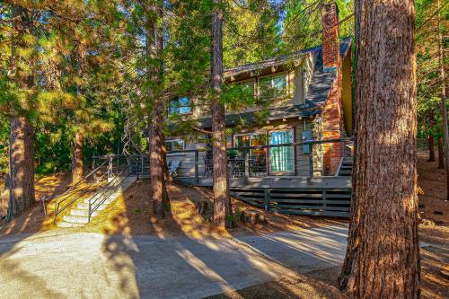 Κήπος έξω από το Serene Cabin