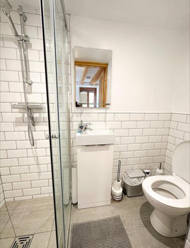 a bathroom with a toilet and a sink and a shower at Loft cottage in Bonsall