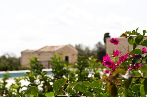 Tre Balate Natura e Relaxにある庭