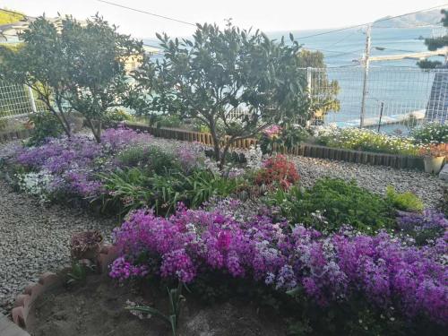a garden with purple and pink flowers and trees at Atami Onsen Guest House Megumi 5 minutes walk from Atami Station in Atami