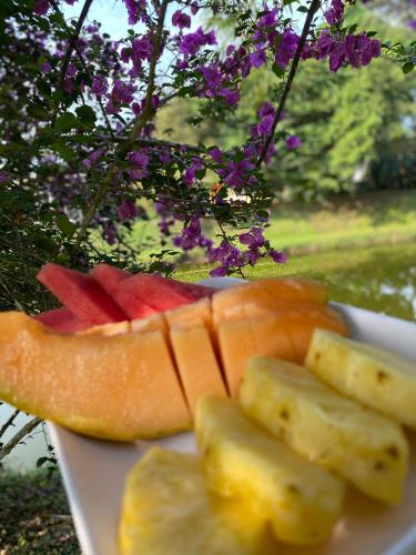 a plate with slices of oranges and fruit on it at Hotel Colores del Arenal in Fortuna