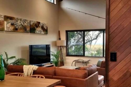 a living room with a couch and a television at Island House in Albany