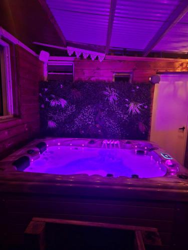 a jacuzzi tub in a room with purple lights at Maison avec piscine chauffée, jacuzzi et sauna 6 chambres in Saint-Paul