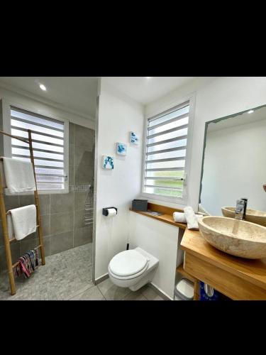 a bathroom with a toilet and a sink and a shower at Villa SAINT BARTHELEMY in Saint-François