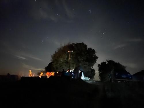 a group of people standing next to a tree at night at บ้านไร่ไอดอย in Phrae