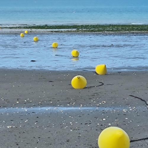 un groupe de balles jaunes sur la plage dans l'établissement Studiodinardchezanne, à Dinard