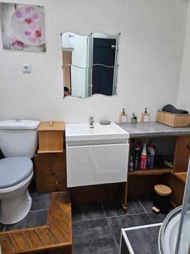 une salle de bain avec toilettes, lavabo et miroir dans l'établissement Logement atypique au cœur de Soissons, à Soissons