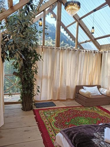 a glass house with a couch and a tree in it at Sukoon Saath by Hostalgic in Jibhi