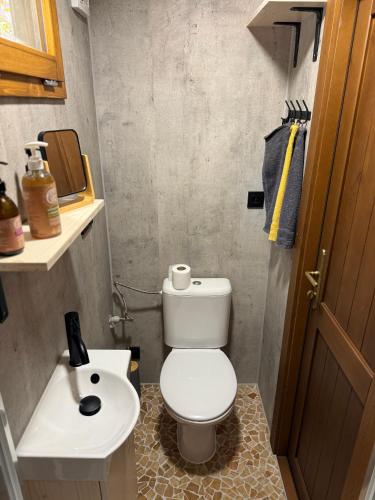 a small bathroom with a toilet and a sink at Maringotka u Krkavčích skal in Křižany