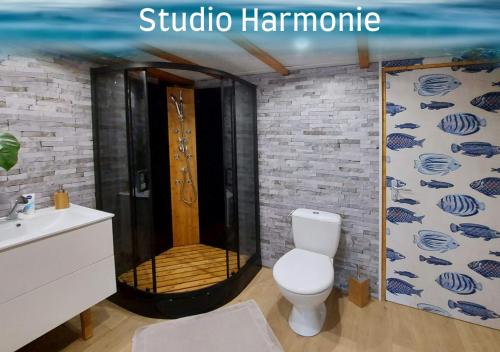 a bathroom with a toilet and a shower at Joli studio avec terrasse, 2km A79, 6km le Pal in Dompierre-sur-Besbre