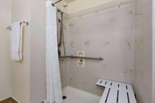 a bathroom with a shower with a shower curtain at Ramada by Wyndham Oakland Downtown City Center in Oakland