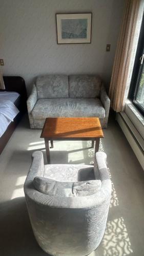 Χώρος καθιστικού στο Hakone Fairy Hotel