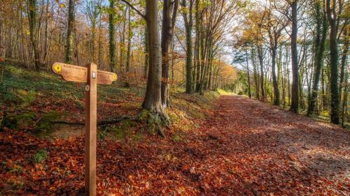 a wooden sign on a path in the woods at Holiday Inn London Gatwick - Worth by IHG in Crawley