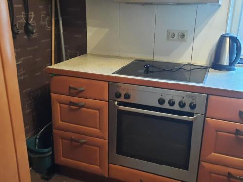 Kuchyň nebo kuchyňský kout v ubytování gemütliche Wohnung im Herzen von Heilbronn