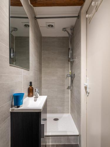 une salle de bain avec un lavabo et une douche dans l'établissement Le Prestige Grenoble hypercentre, à Grenoble