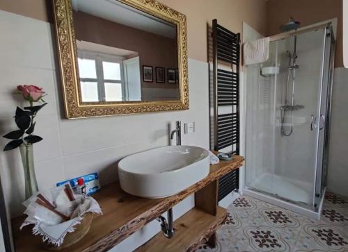 a bathroom with a sink and a mirror and a shower at Bed&Breakfast Villa Camilla in Ivrea