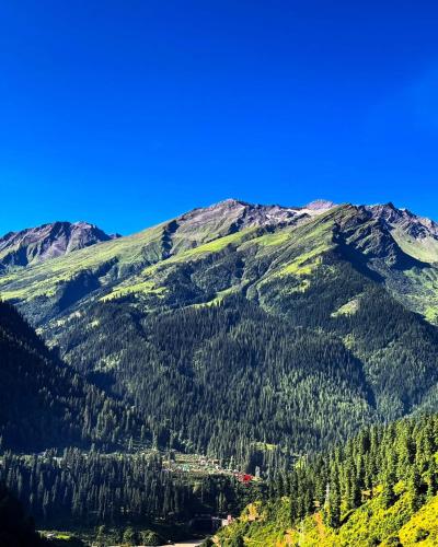 a view of a mountain with trees on it at Cafekush tosh in Tosh