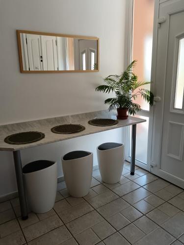 a table with a potted plant and a mirror at Hársfa apartman in Makó