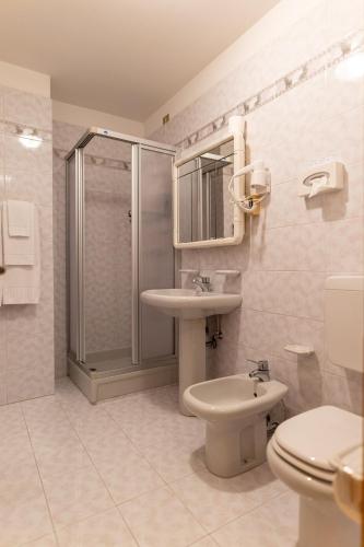 a bathroom with a shower and a toilet and a sink at Hotel il Cardo in San Vito di Cadore