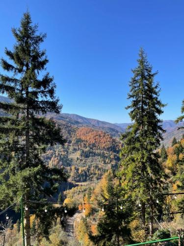 two pine trees on a hill with mountains in the background at Eco cottage sunrise merisi in Merisi