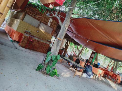a tent with chairs and a tree in front of it at PINOY YOGA POLE PIYOPO LA UNION fan kubo 4 pax in Rimus