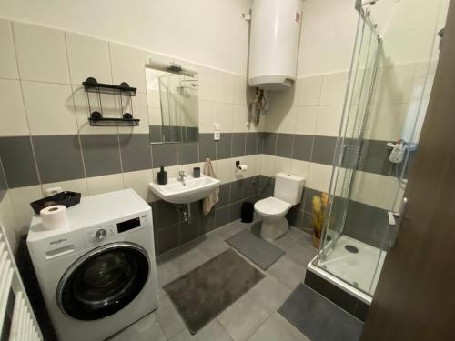 a bathroom with a washing machine and a sink at Černý Tulipán - Apartmán 2 in Plzeň