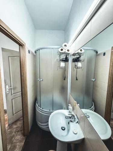 a bathroom with a sink and a shower and a toilet at Twin-Tam House in Timişoara