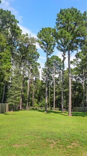 a field of grass with trees in the background at Towering Pines - 3 Beds, Near Lake, Huge Backyard in Flint