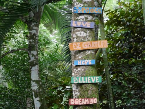 a pole with signs on a tree in the jungle at Cabinas Tito in Cahuita
